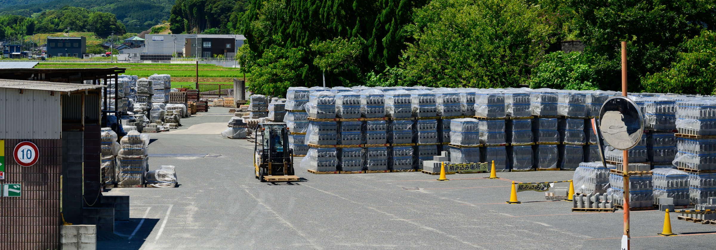 シンセイ福岡について
