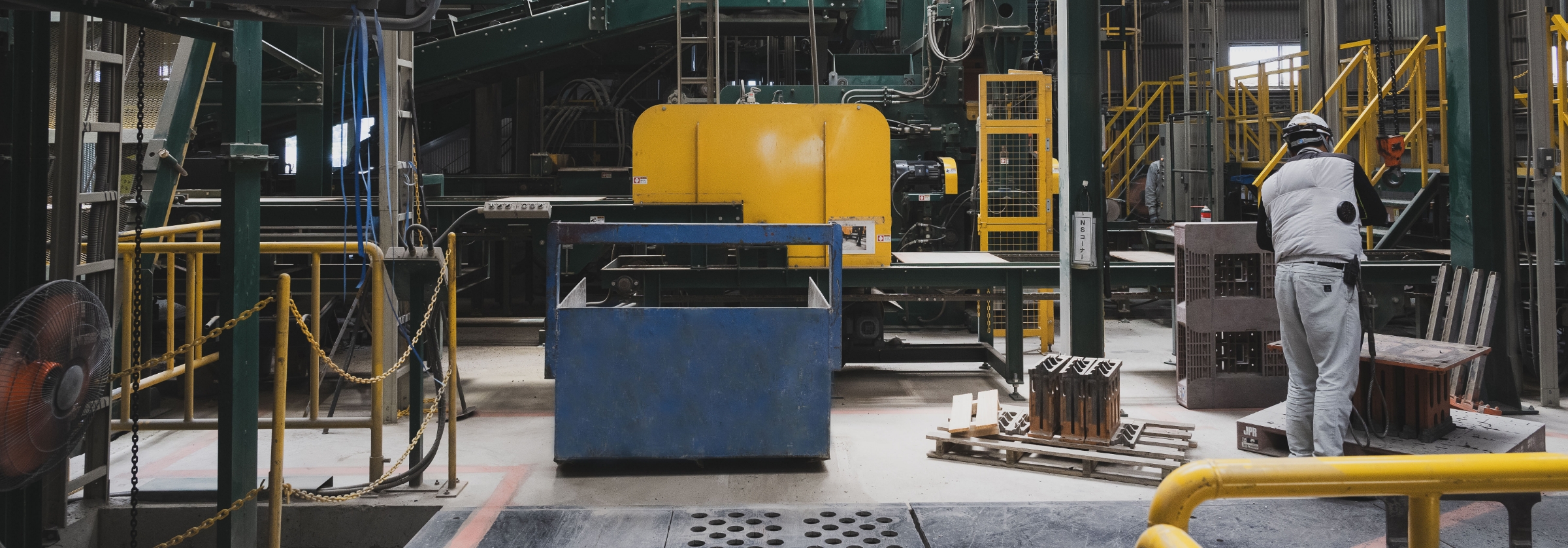 シンセイ福岡について